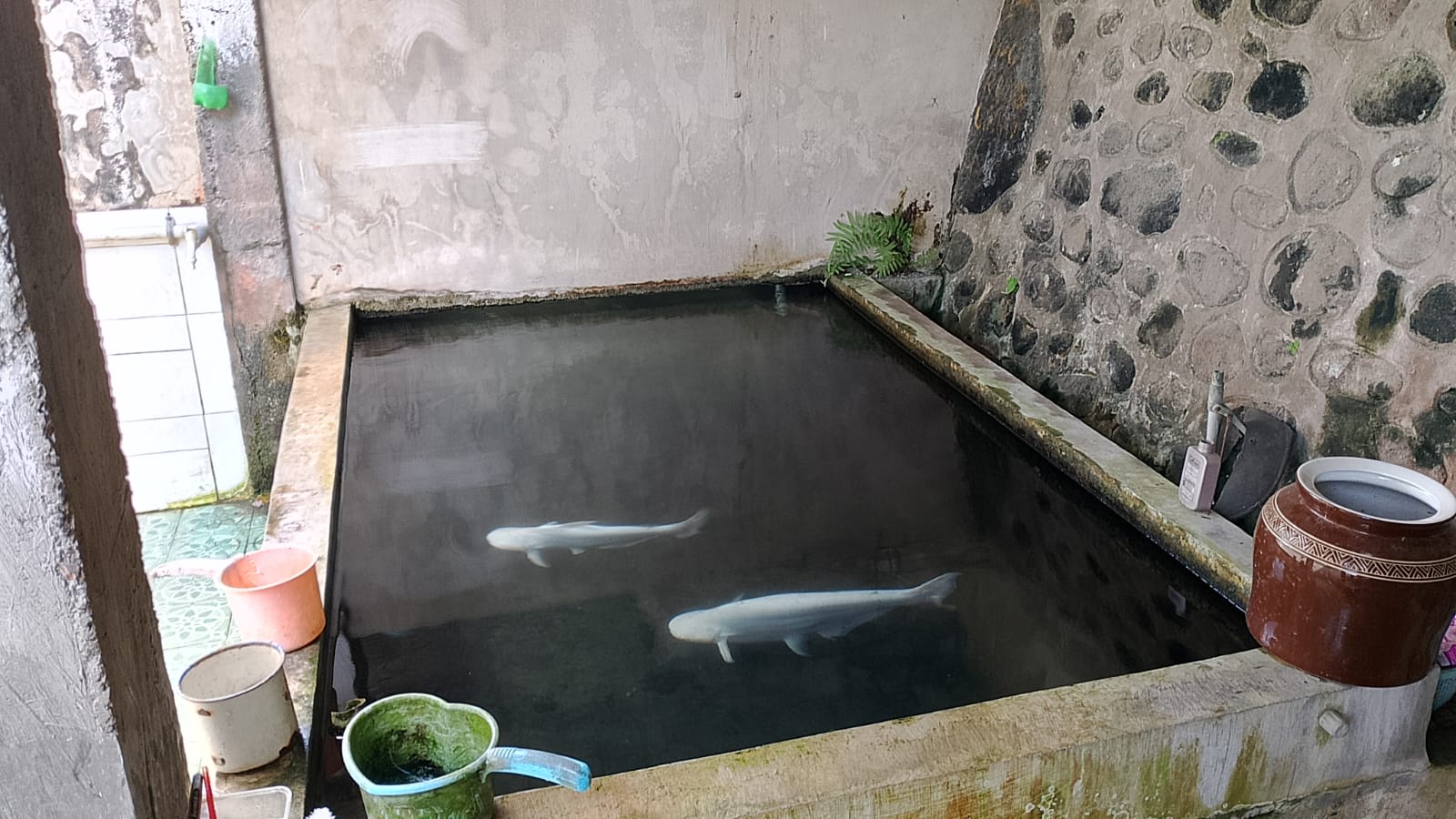 Foto Kamar Mandi/WC — ANNUR SENTOESA, Jambesari, Giri